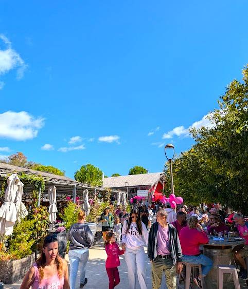 PXL_20251005_101420874.MP